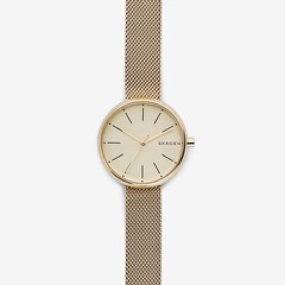 SKAGEN SKW2614 Signatur Gold Tone Steel Mesh Watch